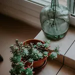 Apartament L'agapanthe Avec Terrasse By Primo Conciergerie