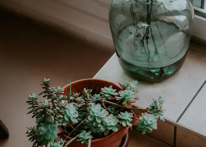 Apartament L'agapanthe Avec Terrasse By Primo Conciergerie